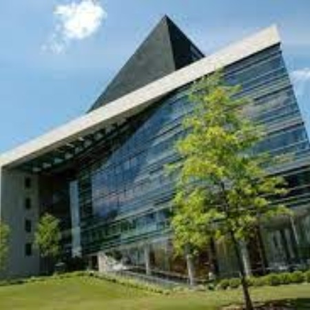 Tony Terraciano studies at Albert Einstein college of Medicine.